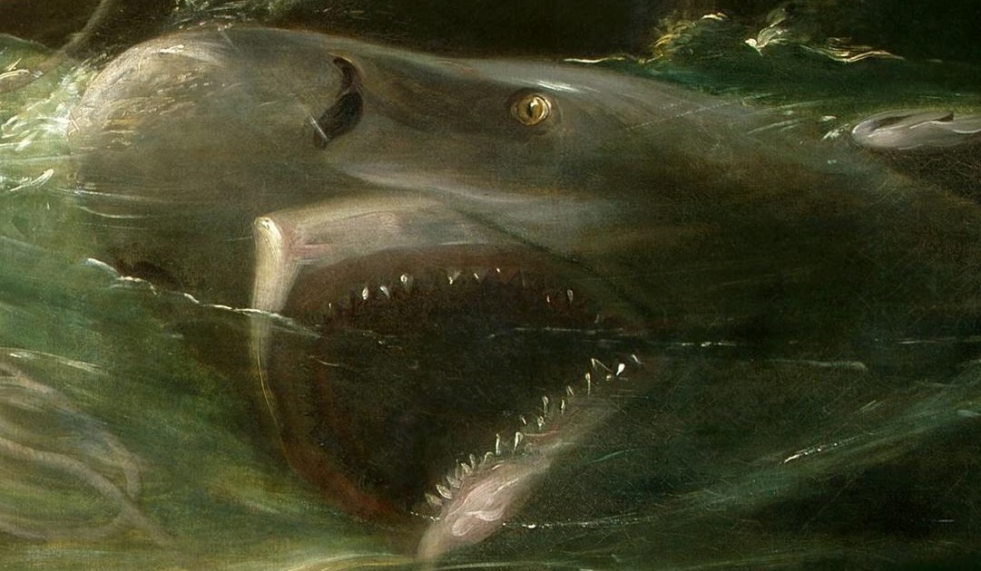 La pêche rybinka 2017 vidéos